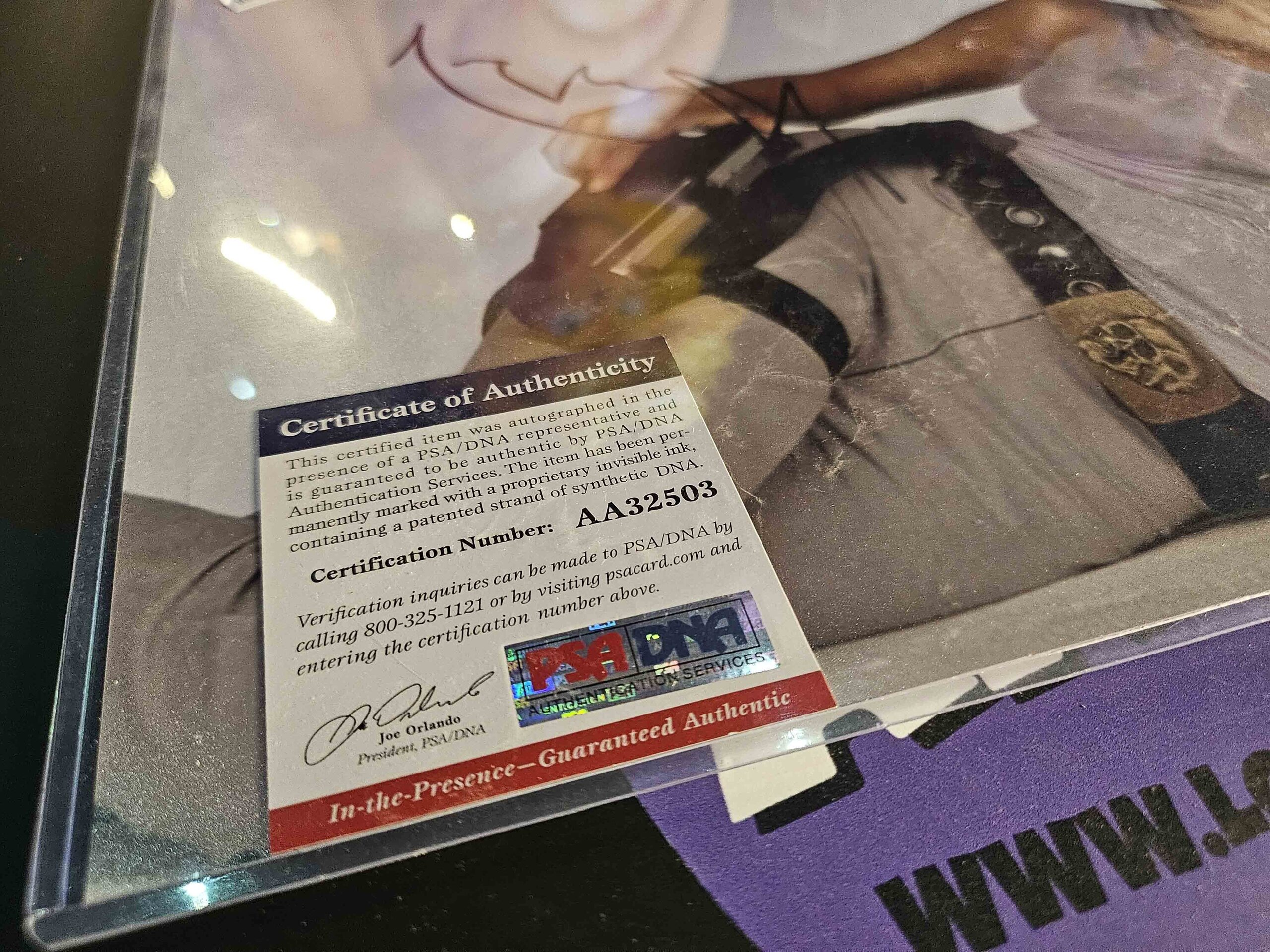 AUTOGRAFO DE ANGELINA JOLIE (FOTOGRAFIA DE LARA CROFT) CERTIFICADO PSA - 7